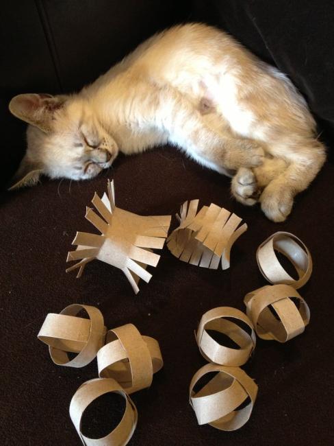 Fabriquer des jouets pour son chat - Globalvet